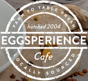 Eggsperience Breakfast & Lunch